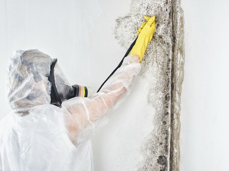 Mold Removal in Tucson AZ