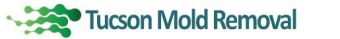 Tucson Water Damage & Mold Removal Pros by Steamy Concepts
