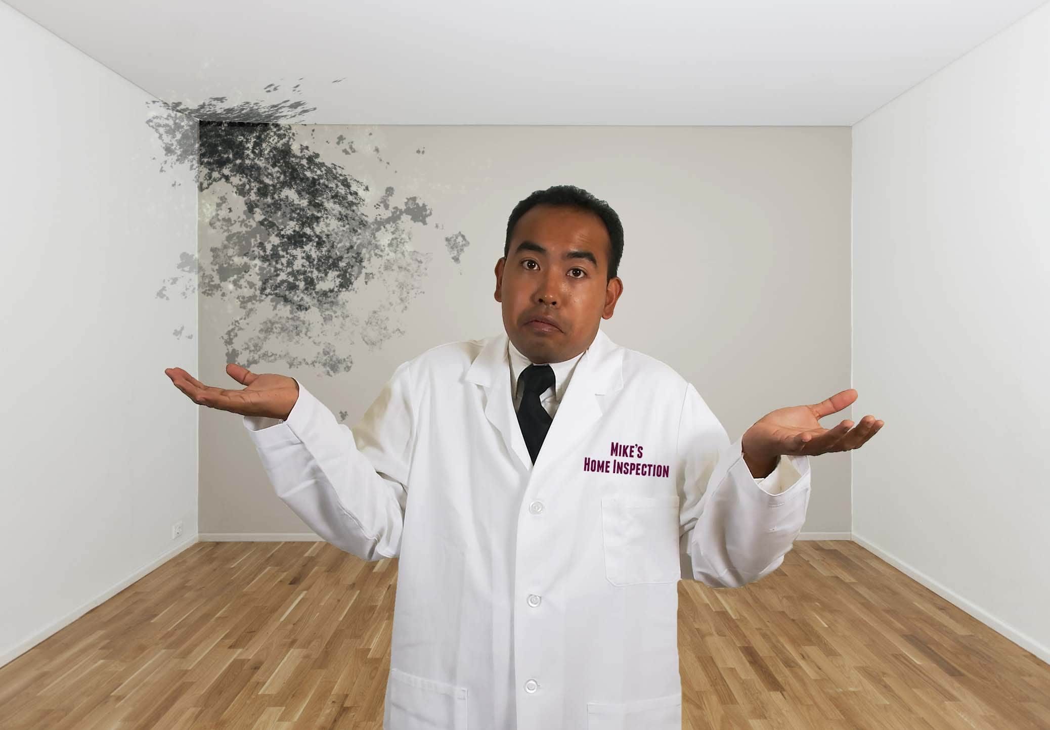 Mold expertise is not abundant with home inspectors