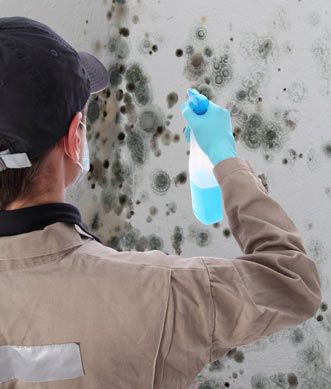 Bleach Does Not Complete A Tucson Mold Remediation