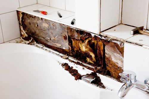 Mold damage that home inspectors lack expertise in.