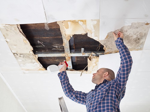 Mold expertise is limited with home Inspectors